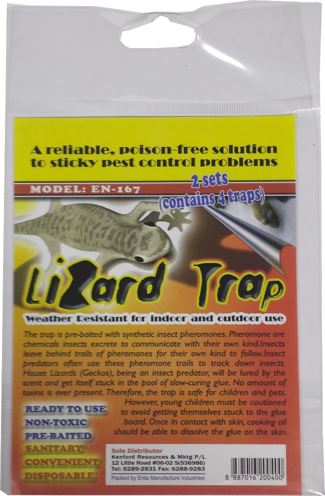 LIZARD TRAP