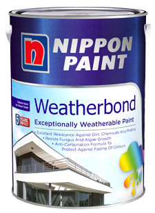 Exterior Paint
